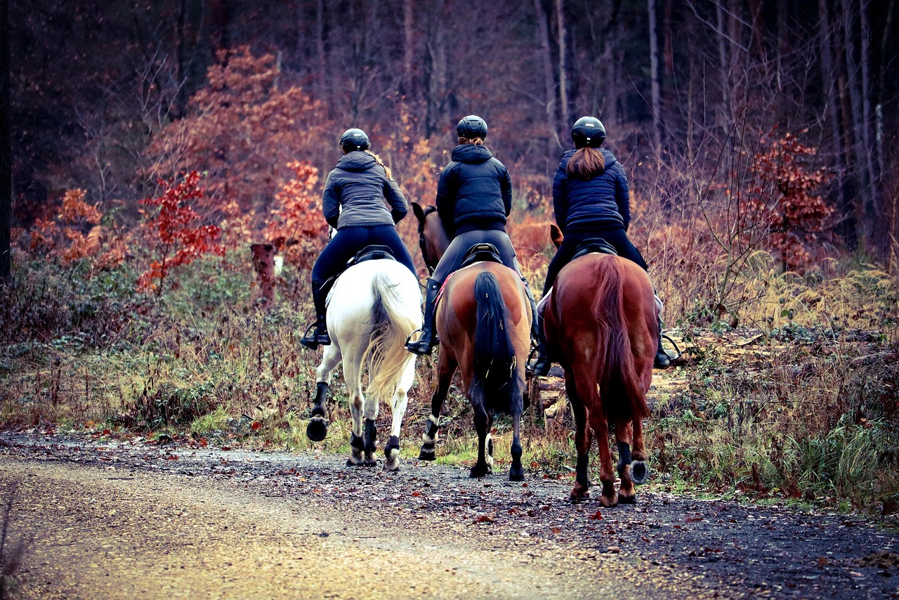riding clubs